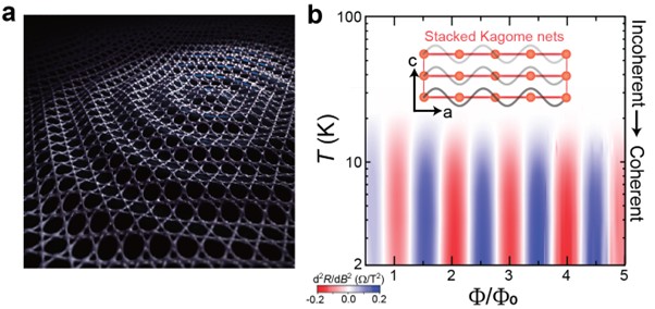 Figure: (a) illustration of long-range quantum coherence in a Kagome metal. (b) The temperature dependence of magnetoresistance oscillations demonstrates quantum-coherent transport at low temperatures.