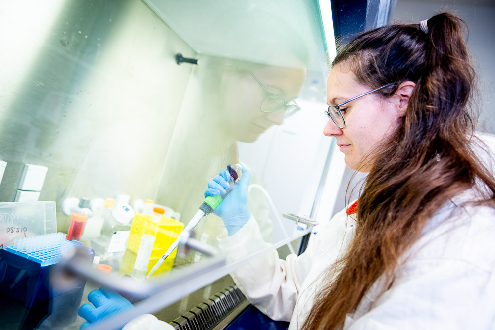 A picture of researcher Hannah Willenberg at work in the lab